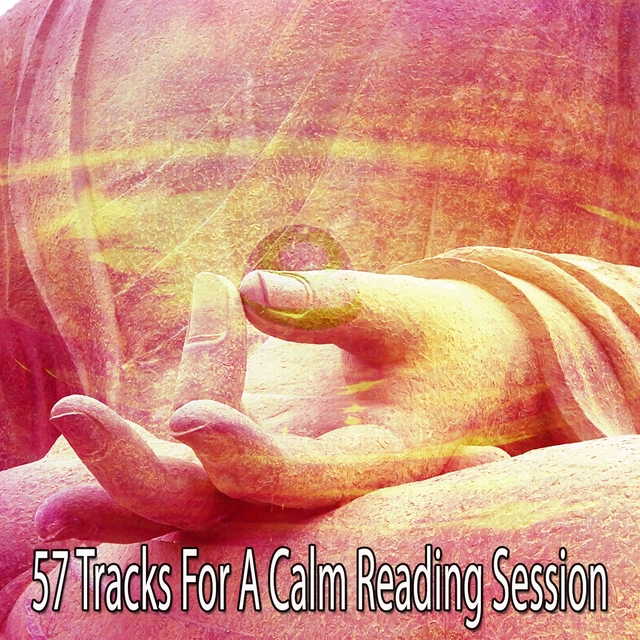 57 Tracks for a Calm Reading Session