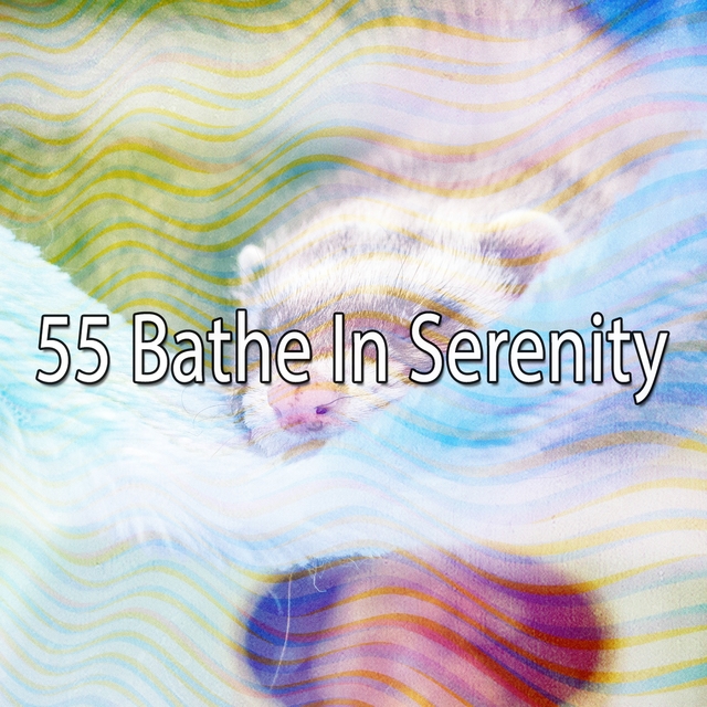 Couverture de 55 Bathe in Serenity