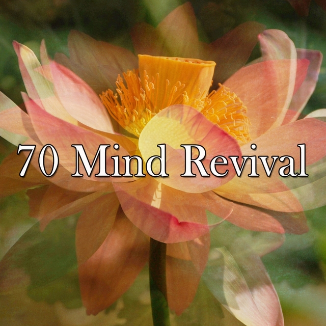 70 Mind Revival