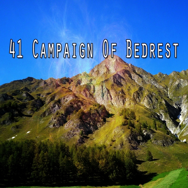 41 Campaign of Bedrest