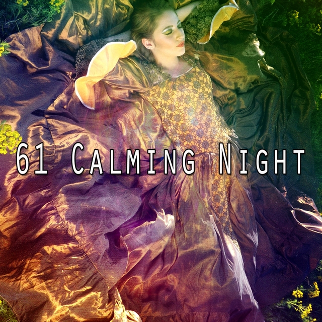 61 Calming Night