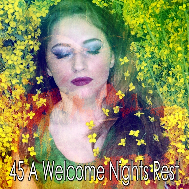 45 A Welcome Nights Rest