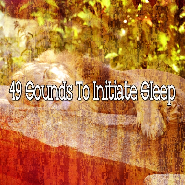 Couverture de 49 Sounds to Initiate Sle - EP