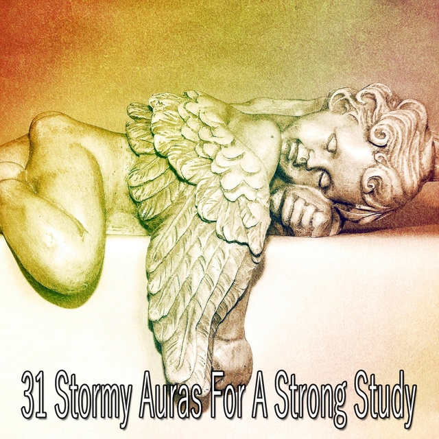 Couverture de 31 Stormy Auras for a Strong Study