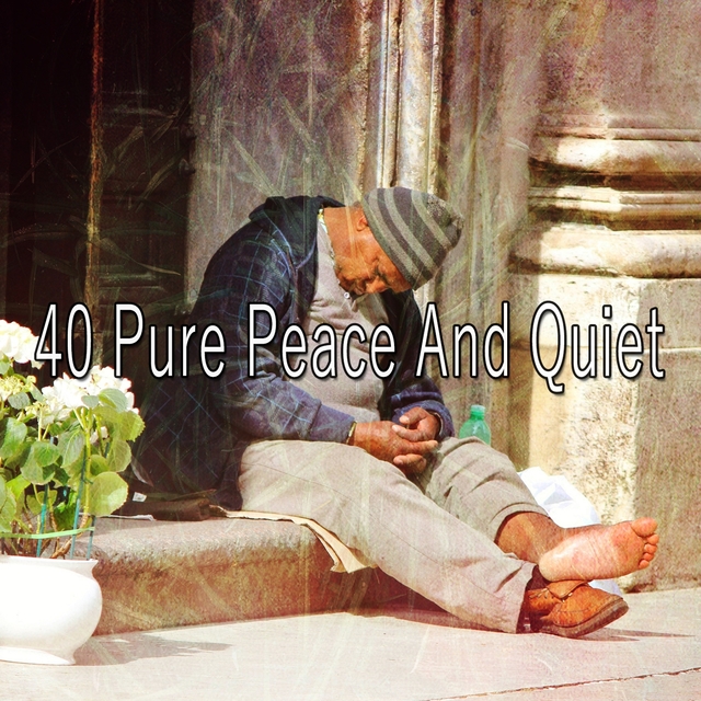 Couverture de 40 Pure Peace and Quiet