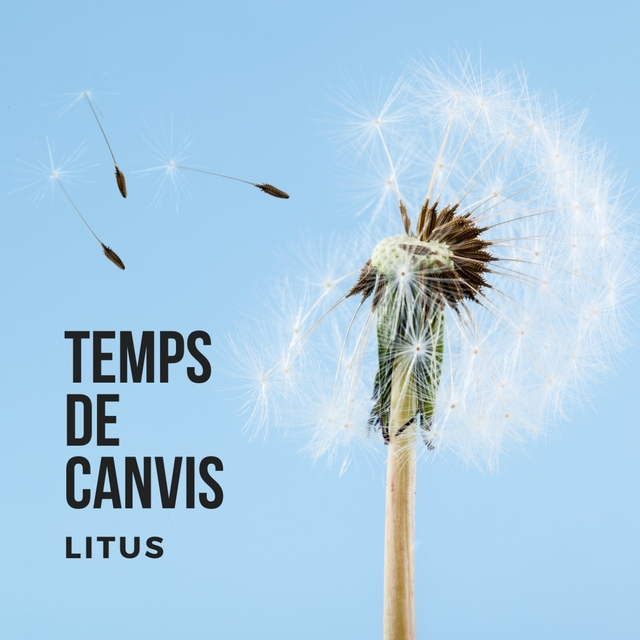 Couverture de Temps de Canvis