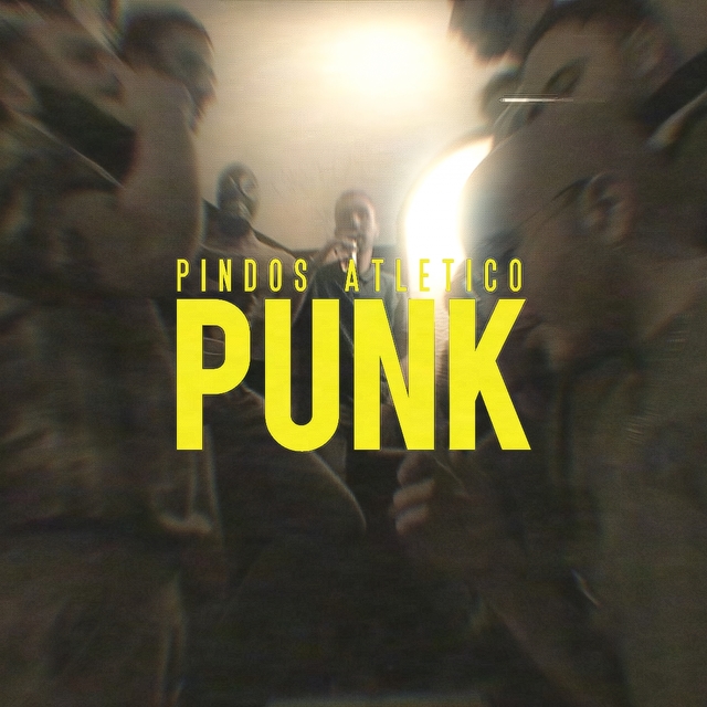 Couverture de Punk