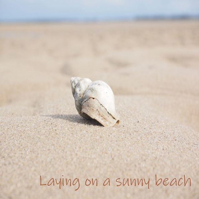 Couverture de Laying on a sunny beach