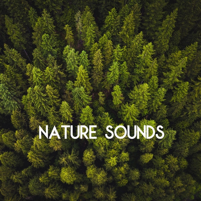 Nature Sounds - Sleep and Relaxation