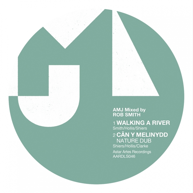 Couverture de Walking a River