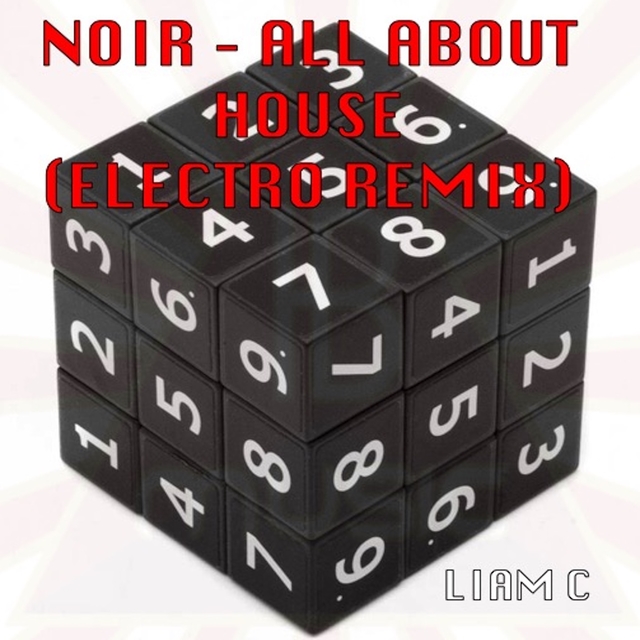 Couverture de Noir - All About House