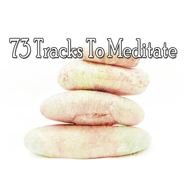 73 Tracks to Meditate