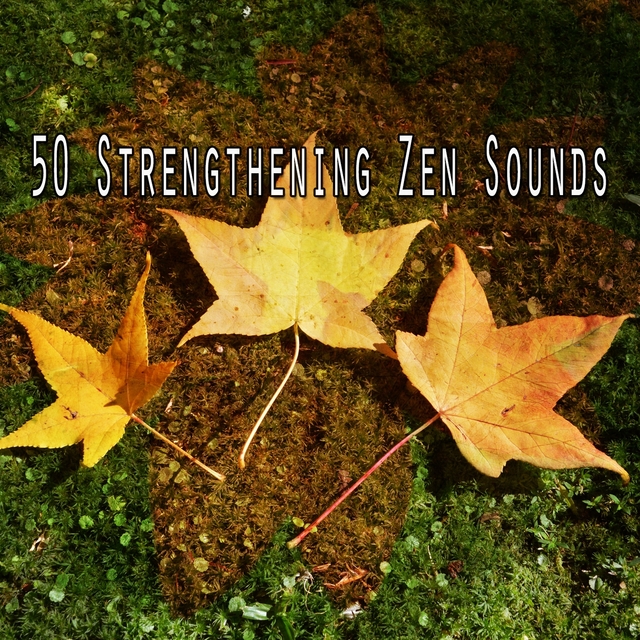 Couverture de 50 Strengthening Zen Sounds