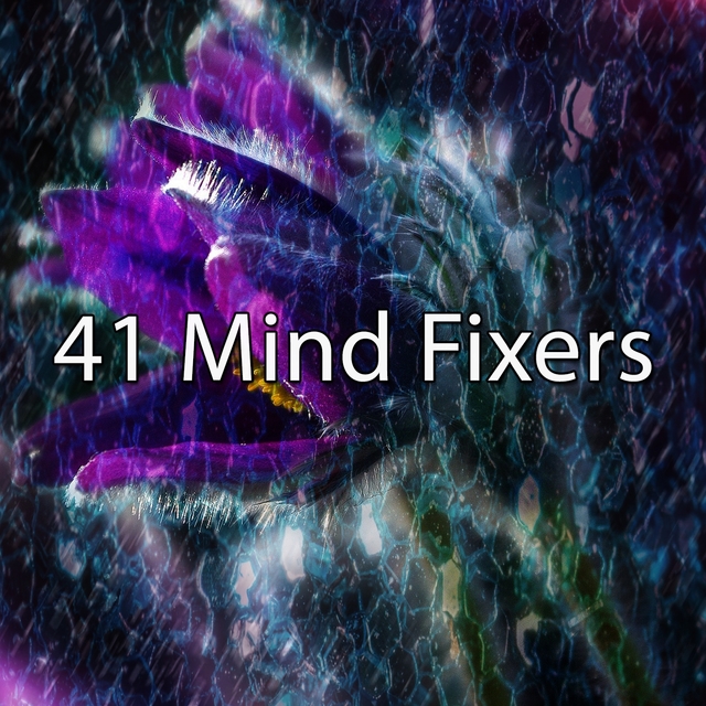 Couverture de 41 Mind Fixers