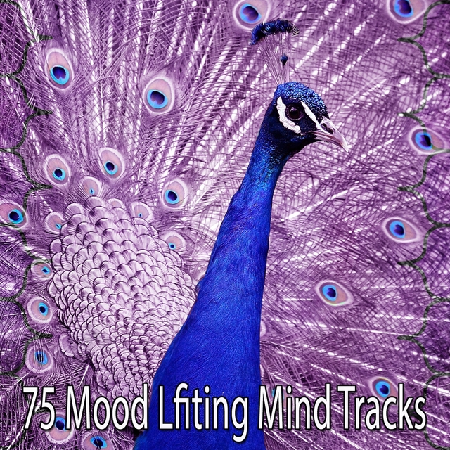 75 Mood Lfiting Mind Tracks