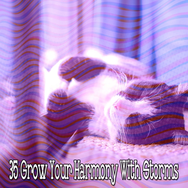 35 Grow Your Harmony with Storms