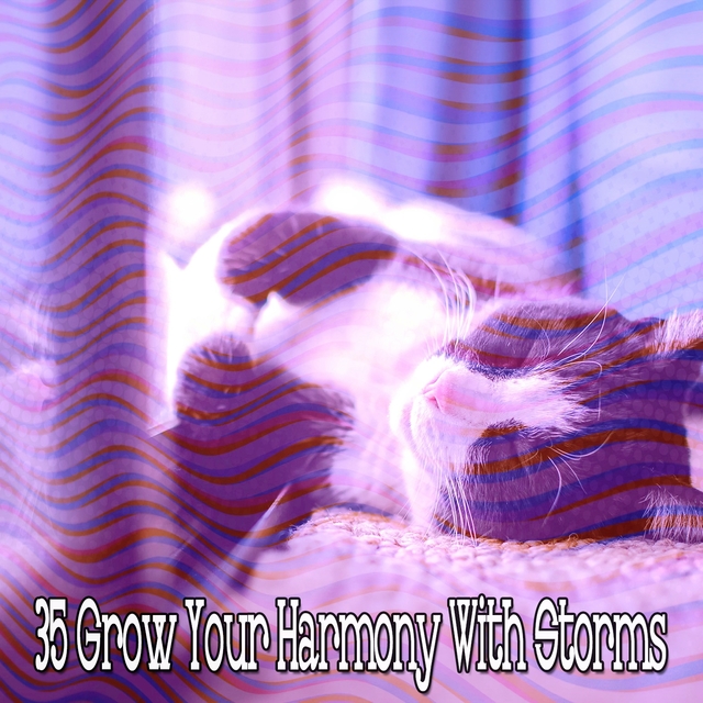 Couverture de 35 Grow Your Harmony with Storms