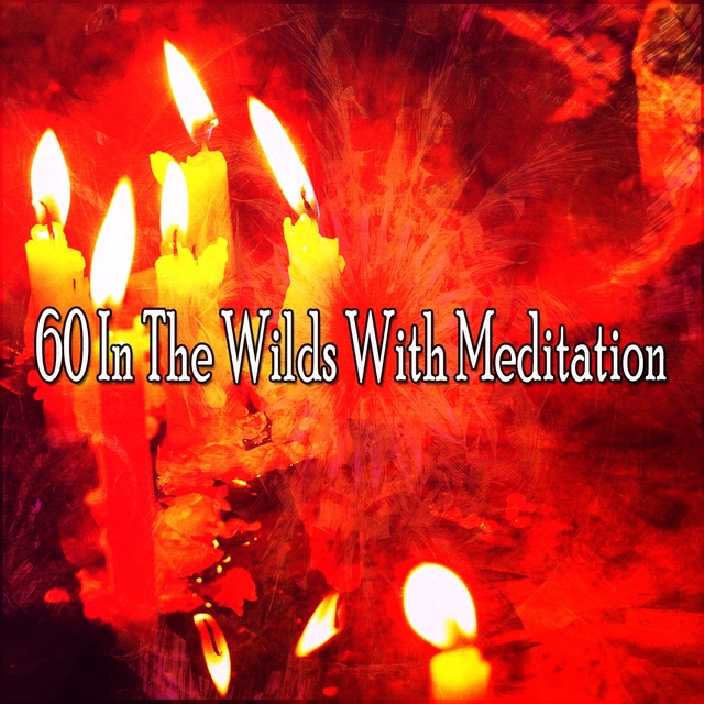 60 In the Wilds with Meditation