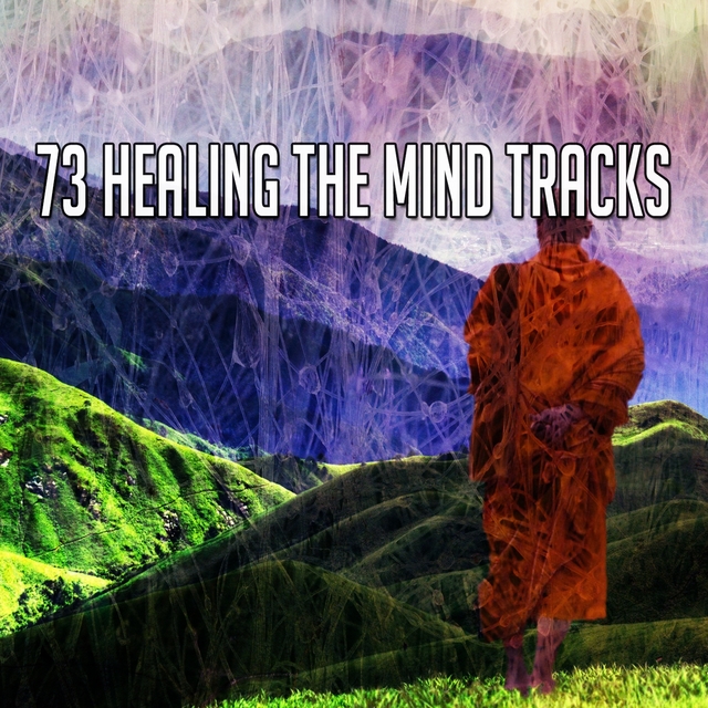 Couverture de 73 Healing the Mind Tracks