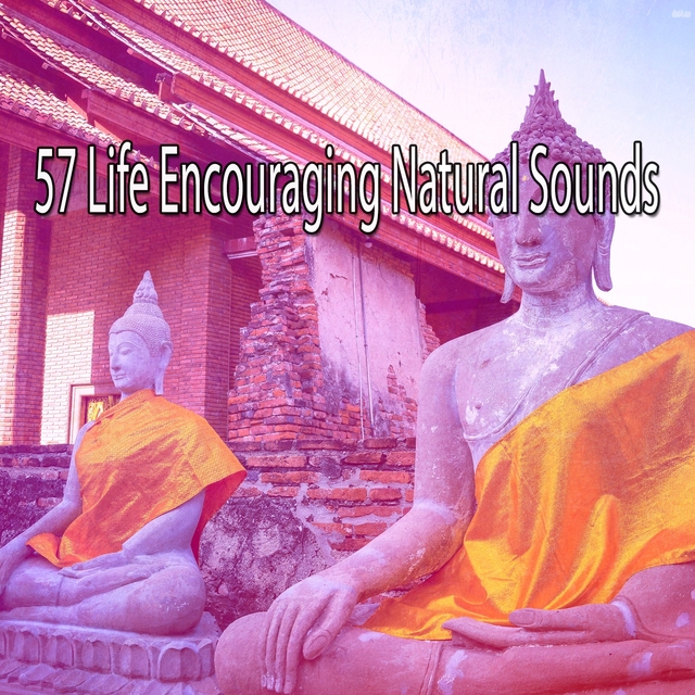 Couverture de 57 Life Encouraging Natural Sounds