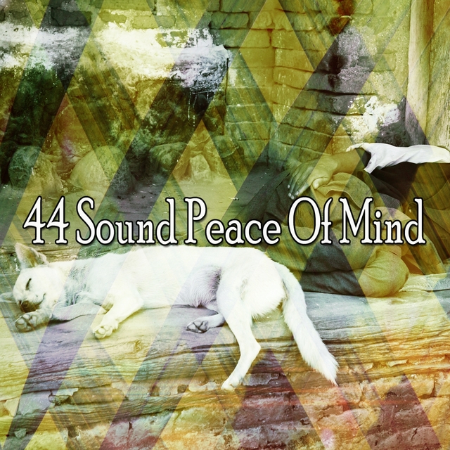 44 Sound Peace of Mind