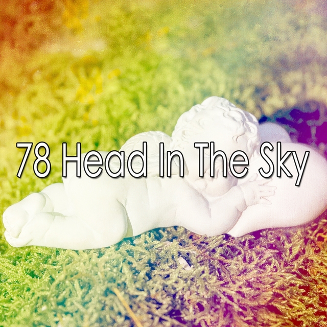 Couverture de 78 Head in the Sky