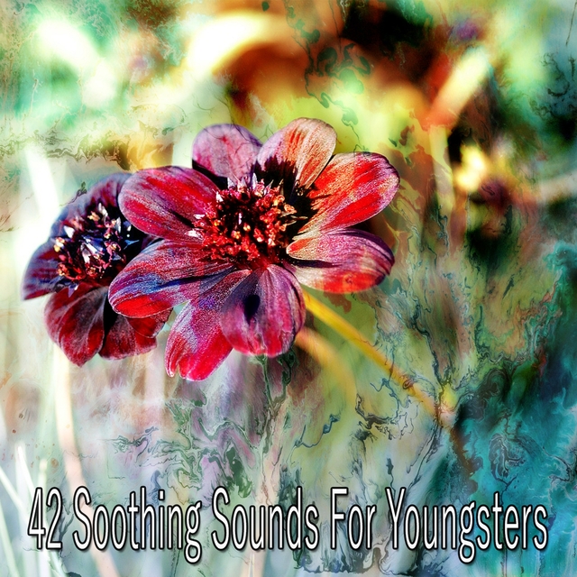 Couverture de 42 Soothing Sounds for Youngsters