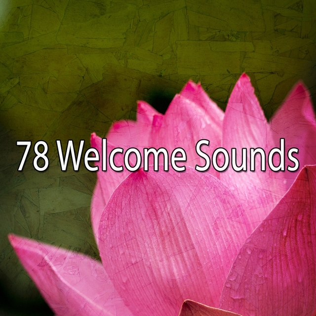 78 Welcome Sounds