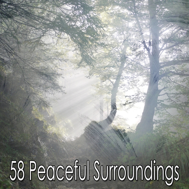 Couverture de 58 Peaceful Surroundings