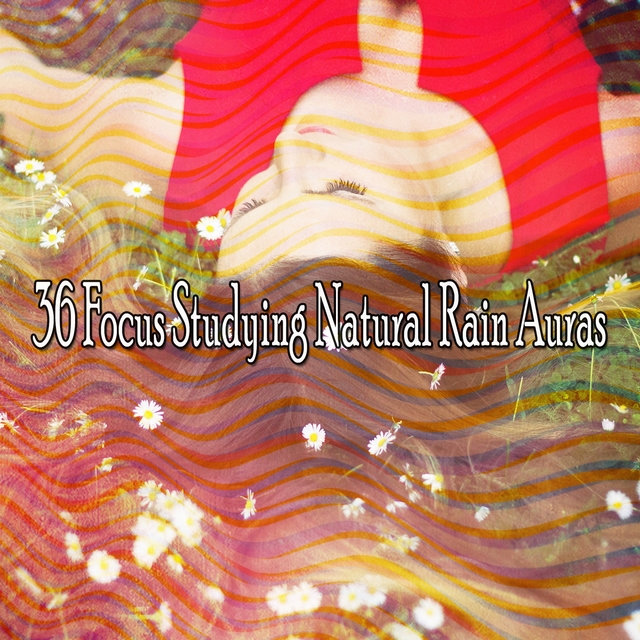 Couverture de 36 Focus Studying Natural Rain Auras