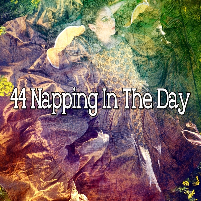 Couverture de 44 Napping in the Day