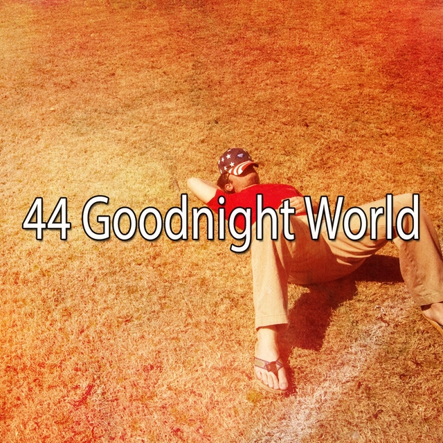 Couverture de 44 Goodnight World