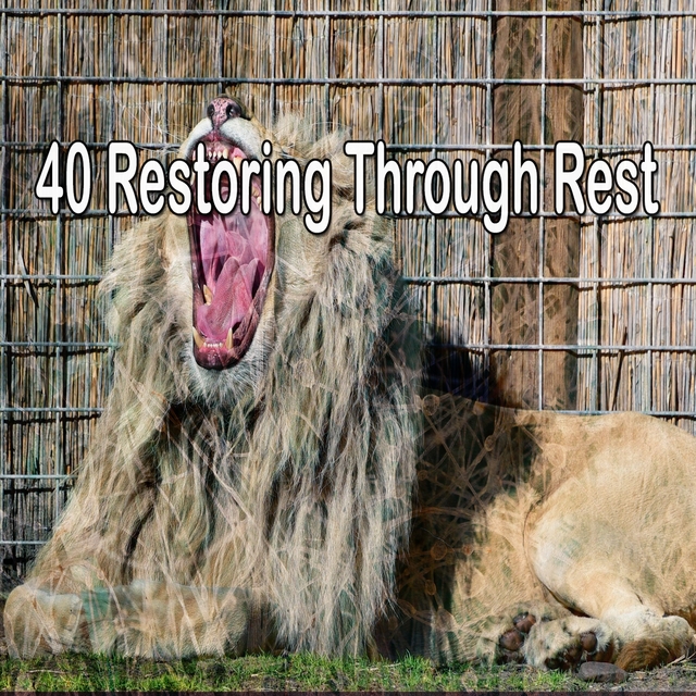 40 Restoring Through Rest