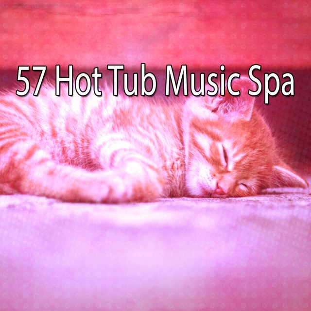 57 Hot Tub Music Spa