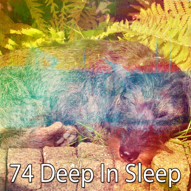 74 Deep in Sle - EP