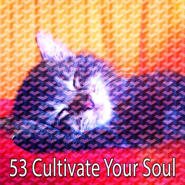 53 Cultivate Your Soul