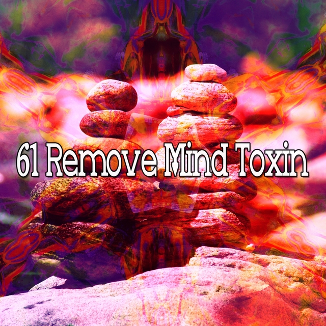 Couverture de 61 Remove Mind Toxin