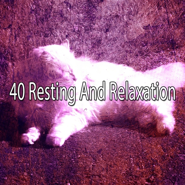 Couverture de 40 Resting and Relaxation