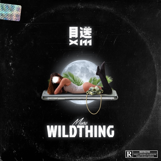 Couverture de Wild Thing