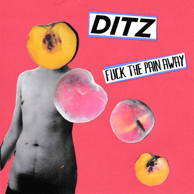 Couverture de Fuck the Pain Away