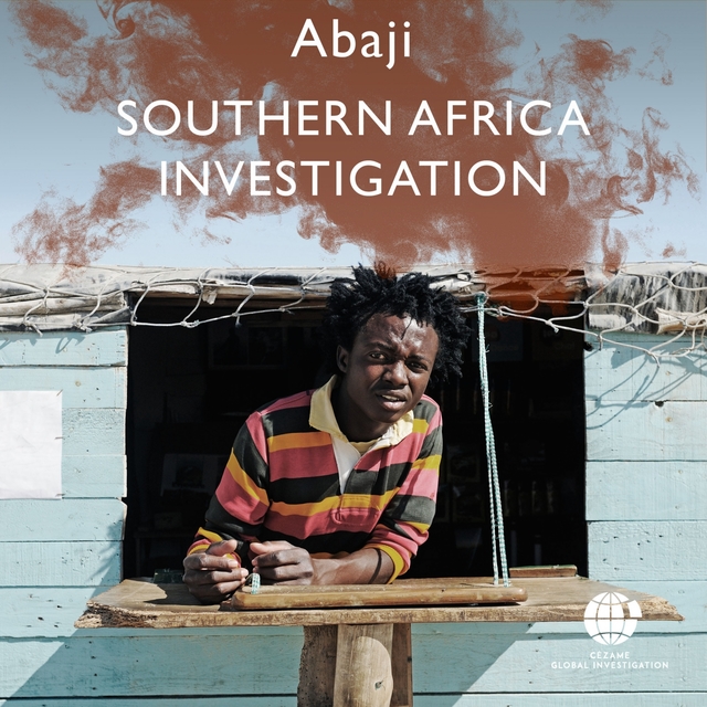 Couverture de Southern Africa Investigation