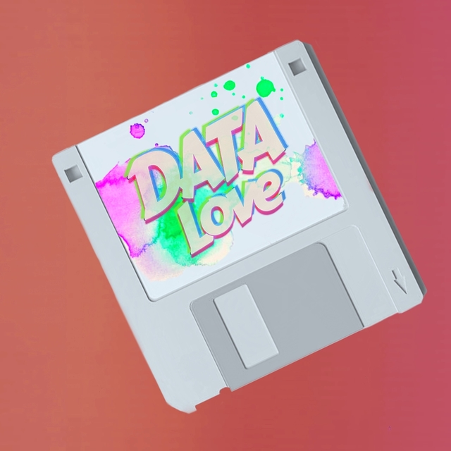 Couverture de Data Love