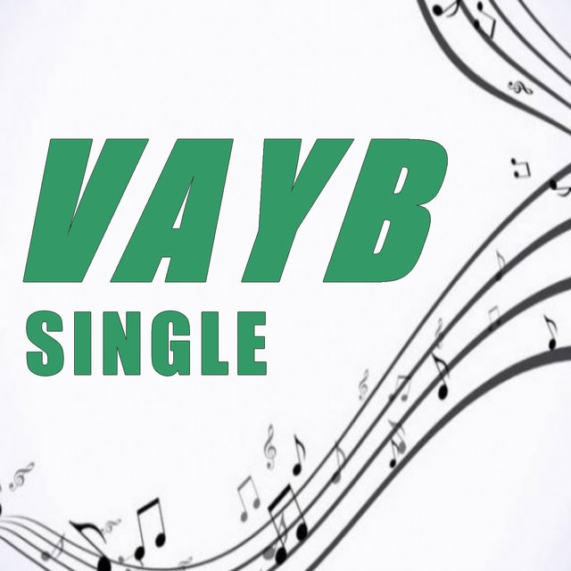 Couverture de Single vayb