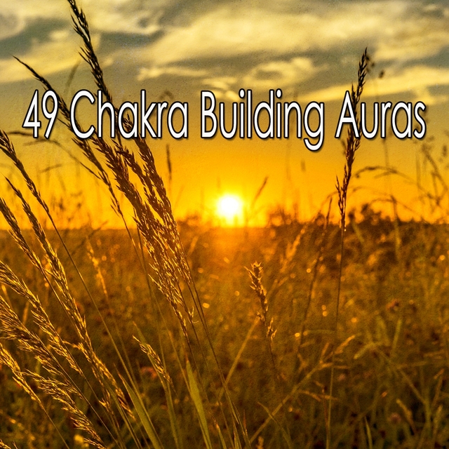 Couverture de 49 Chakra Building Auras