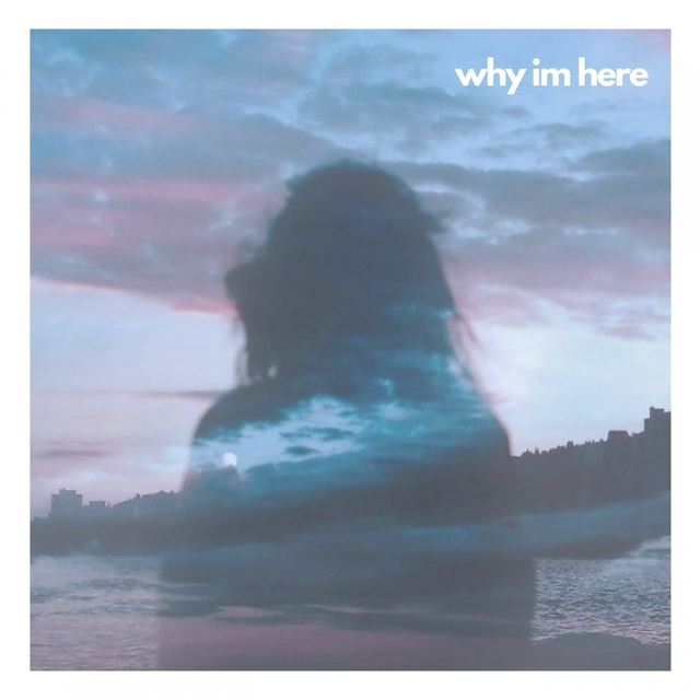 Couverture de Why Im Here