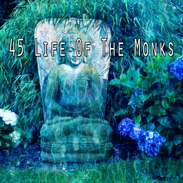 Couverture de 45 Life of the Monks