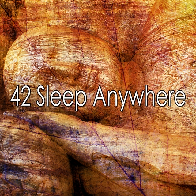 42 Sleep Anywhere