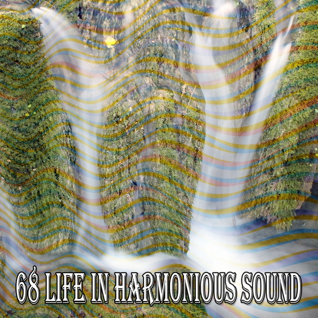 68 Life in Harmonious Sound