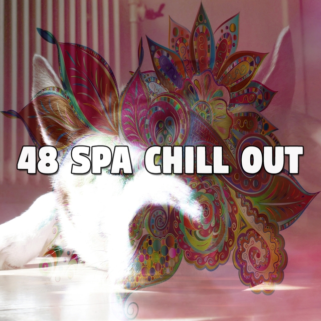 Couverture de 48 Spa Chill Out