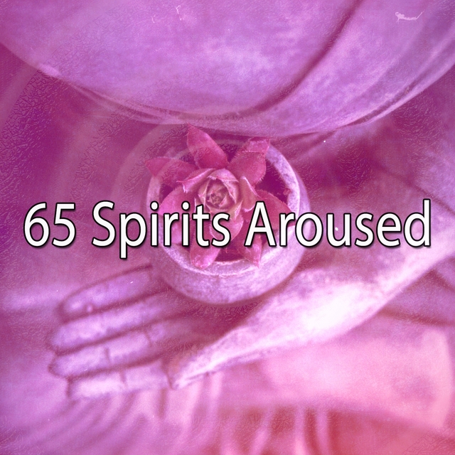 Couverture de 65 Spirits Aroused